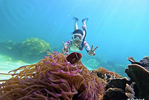 Phu Quoc: Pro Snorkeling do 3 raf koralowych i plaży (MAX 12)