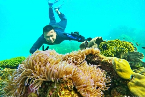 Phu Quoc: Koralliriutat ja ranta (MAX 12): Pro Snorkeling 3 koralliriutalle ja rannalle (MAX 12)