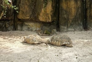 Phu Quoc: safari, Grand World, kwintesencja Tonkinu