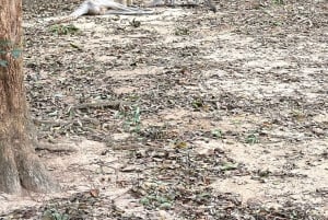 Phu Quoc: safari, Grand World, kwintesencja Tonkinu