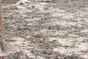 Phu Quoc: safari, Grand World, kwintesencja Tonkinu