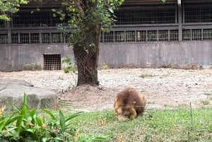 Phu Quoc: safari, Grand World, kwintesencja Tonkinu