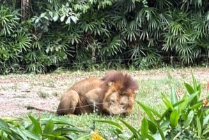 Phu Quoc: safari, Grand World, kwintesencja Tonkinu