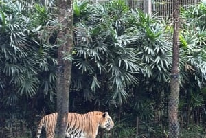 Phu Quoc: safari, Grand World, kwintesencja Tonkinu