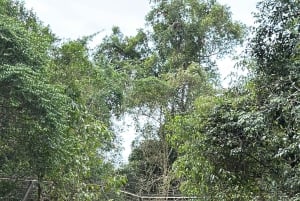 Phu Quoc: safari, Grand World, kwintesencja Tonkinu