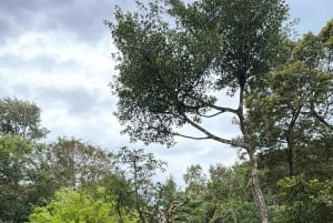 Phu Quoc: safari, Grand World, kwintesencja Tonkinu