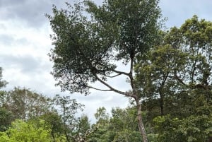 Phu Quoc: safari, Grand World, kwintesencja Tonkinu