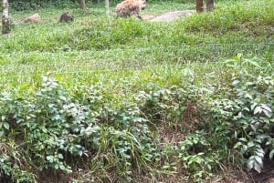 Phu Quoc: safari, Grand World, kwintesencja Tonkinu