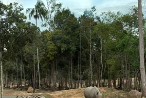 Phu Quoc: safari, Grand World, kwintesencja Tonkinu