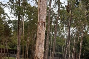 Phu Quoc: safari, Grand World, kwintesencja Tonkinu