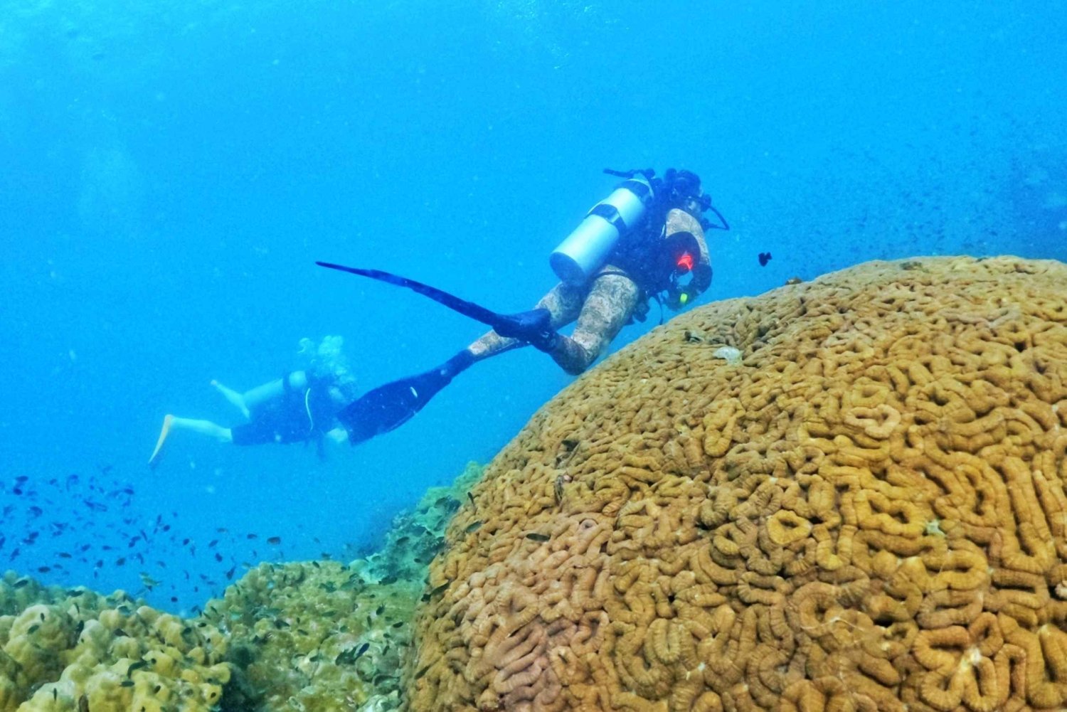 フーコック島：あらゆるレベル向けのスキューバ ダイビング体験