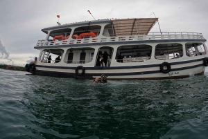 Phu Quoc: Scuba Diving Experience with Instructor