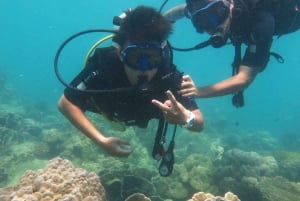 Phu Quoc: Scuba Diving for PADI Divers or Beginners