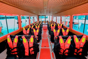 Phu Quoc: Snorkling Öluffning Linbana med lunch