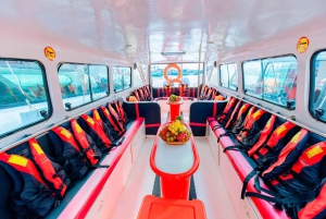 Phu Quoc: Snorkling Öluffning Linbana med lunch