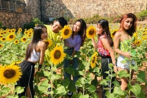 Phu Quoc: Ticket de entrada al Parque Natural Sunworld Hon Thom