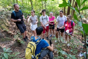 Phu Quoc: Tien Son Dinh 6-Hour Jungle Trekking Adventure