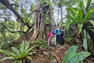 Phu Quoc: Tien Son Dinh 6-Hour Jungle Trekking Adventure