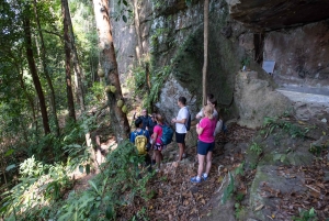 Phu Quoc: Tien Son Dinh 6-Hour Jungle Trekking Adventure