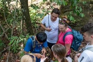 Phu Quoc: Tien Son Dinh 6-Hour Jungle Trekking Adventure