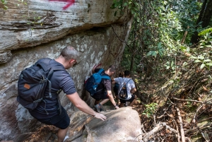 Phu Quoc: Tien Son Dinh 6-Hour Jungle Trekking Adventure