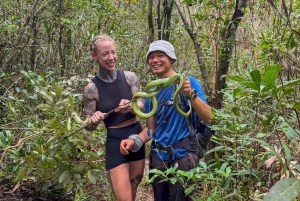 Phu Quoc: Tien Son Dinh 6-Hour Jungle Trekking Adventure