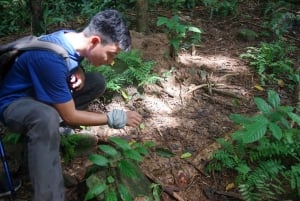 Phu Quoc: Tien Son Dinh 6-Hour Jungle Trekking Adventure