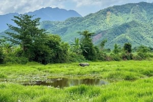 Privat sykkeltur på landsbygda i Da Nang – 1 dag