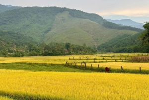 Privat sykkeltur på landsbygda i Da Nang – 1 dag