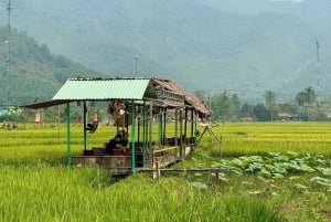 Privat sykkeltur på landsbygda i Da Nang – 1 dag