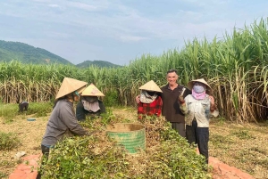 Privat sykkeltur på landsbygda i Da Nang – 1 dag