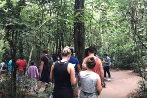 Private Cu Chi Half-Day Tour From HCM City – Guide Optional