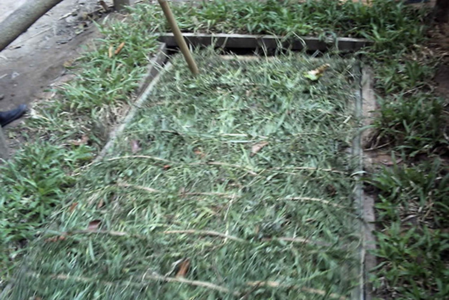 Privat Cu Chi Tunnels & Mekong Delta: Guidet heldagstur