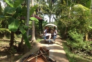 Privat Cu Chi Tunnels & Mekong Delta: Guidet heldagstur