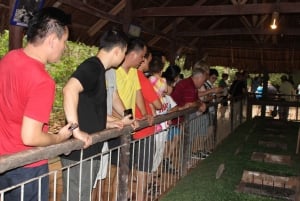 From Ho Chi Minh City: Cu Chi Tunnels Private Trip