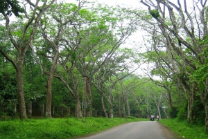 Private Day Tour: Cuc Phuong National Park from Hanoi