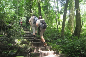 Private Day Tour: Cuc Phuong National Park from Hanoi