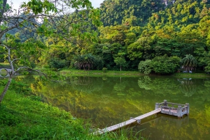 Private Day Tour: Cuc Phuong National Park from Hanoi