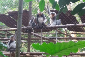 Private Day Tour: Cuc Phuong National Park from Hanoi