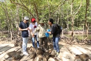 Privat/gruppe Can Gio Mangrove Biosphere Reserve 1 dagsomvisning