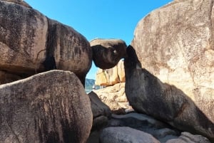 Privétour van een halfdag stadsrondleiding door Nha Trang vanuit de cruisehaven