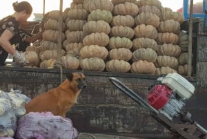 プライベート半日ツアー - Cái Răng水上マーケット