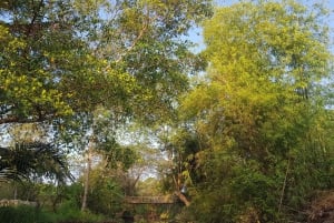 プライベート半日ツアー - Cái Răng水上マーケット