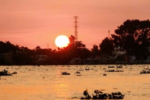 Tour privado de medio día - Mercado Flotante de Cái Răng