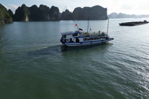 De Hanói: viagem particular de 1 dia para a baía de Halong