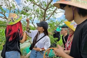 Tour privato nella campagna di Hanoi: diventa un contadino per un giorno