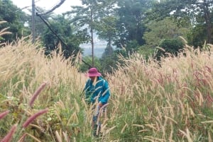 Excursión privada a Ho Chi Minh: ruta por Chua Chan