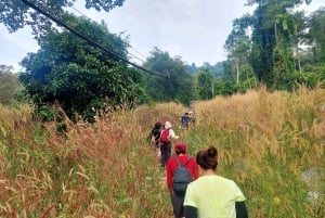 Excursión privada a Ho Chi Minh: ruta por Chua Chan