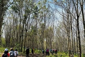 Excursión privada a Ho Chi Minh: ruta por Chua Chan