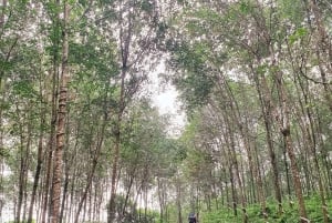 Excursión privada a Ho Chi Minh: ruta por Chua Chan